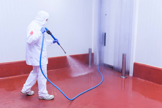 Best Paint Preparation  in Belvedere Park, GA